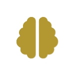 Memorabilidad ICON